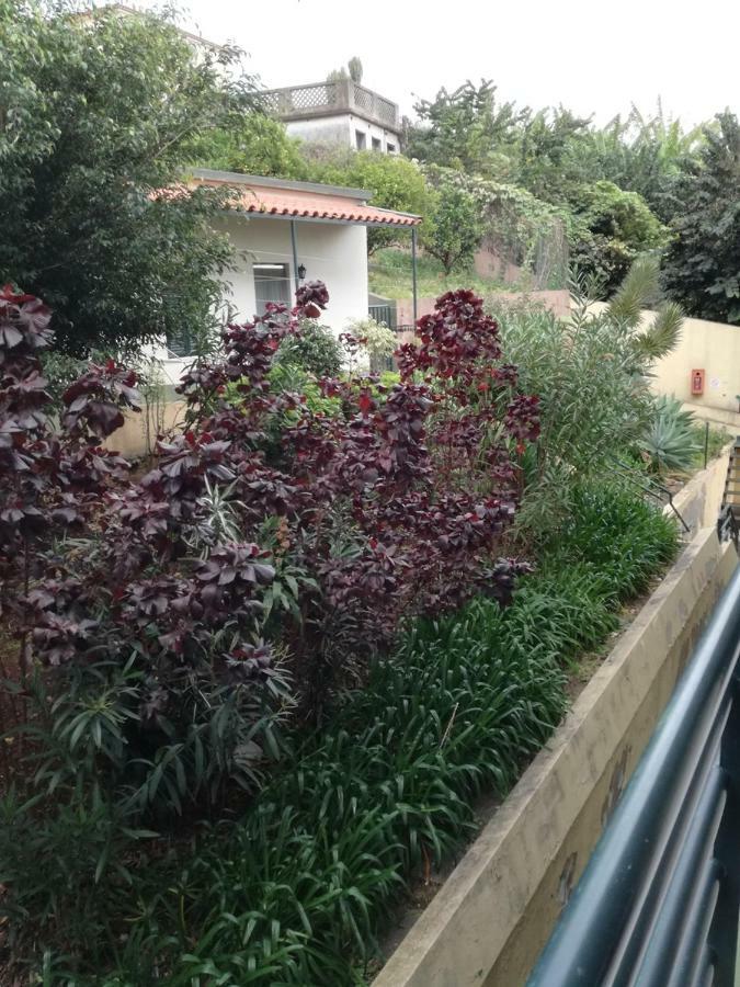 Madeira Funchal Gardens Apartman Kültér fotó